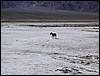 P1010059.jpg