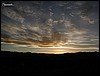 P1010162.jpg